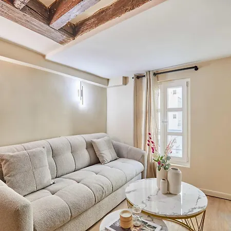 Apartment Amazing In Center Of Paris